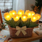 Amora – Tulip Treasure Basket Lights