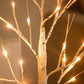 Liora – Blessed Birch Branch Lights
