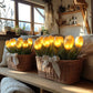 Amora – Tulip Treasure Basket Lights